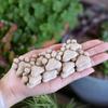 20pcs DIY Decorations Cat Claw Stone Step Lawn Decoration Bonsai Display Micro-Landscape Paving Stones Cat Paw Decoration