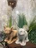 Unique Little Bulldog Made of Sand-colored Stone