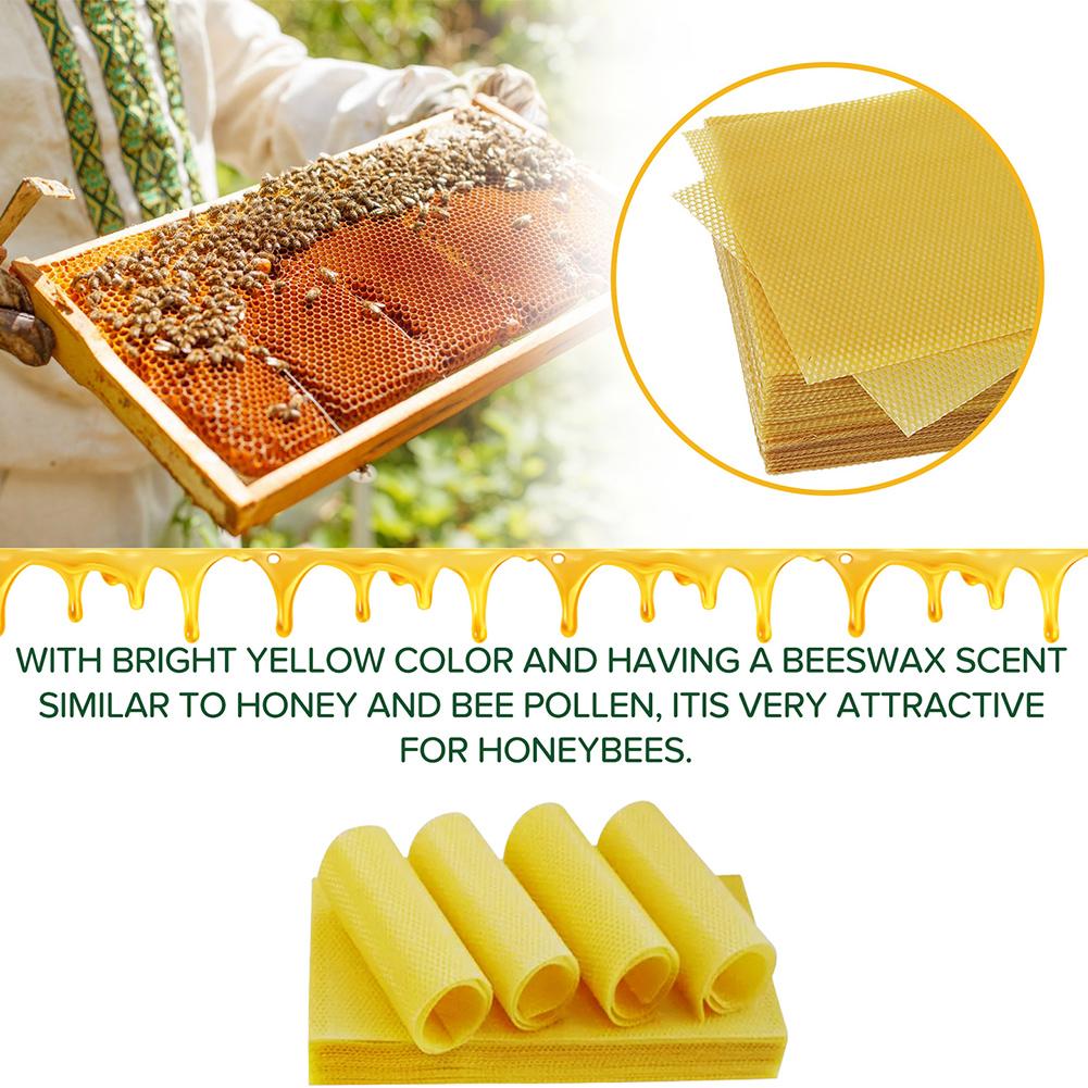 2pc/lot Beeswax Press Sheet Mold Silicone Honeycomb Base Foundation Mould Beehive Shovel Beekeeping Beeware Beeswax Making Tools