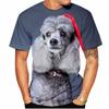 Kawaii Poodle Dog 3D Print Animal T-shirts Men Woman Fashion Streetwear Short Sleeve T Shirt Harajuku Tops Tees Kids Clothing