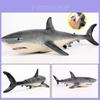 62.5cm Large Size Megalodon Great White Shark Simulation Animal Model Toy For Kids