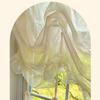 Decorative Sheer Curtains Pleated Lace Curtains
