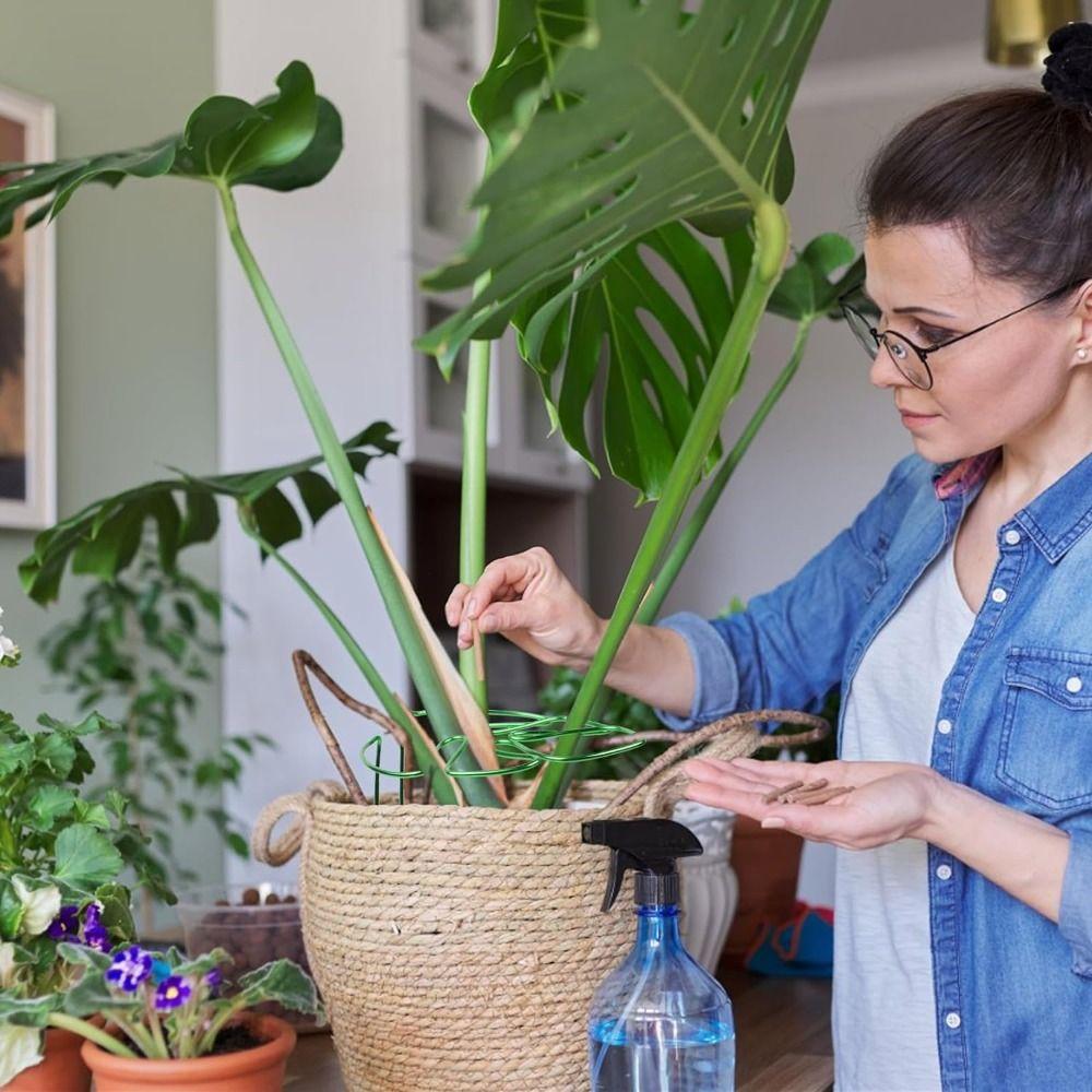 Support Branches Plant Support Ring Garden Tools Plant Retaining Support  for Flower Lovers