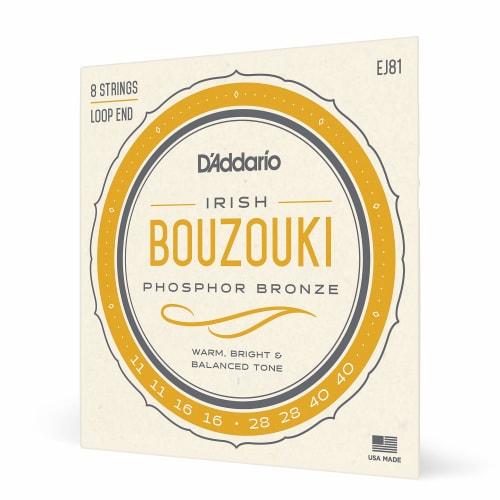 

D Addario Irish Bouzouki Strings EJ81