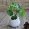 Pot de fleurs créatif en céramique style européen à suspendre au mur, Pot suspendu pour succulentes pour le jardinage, Pot en céramique semi-circulaire à suspendre au mur pour l'aneth
