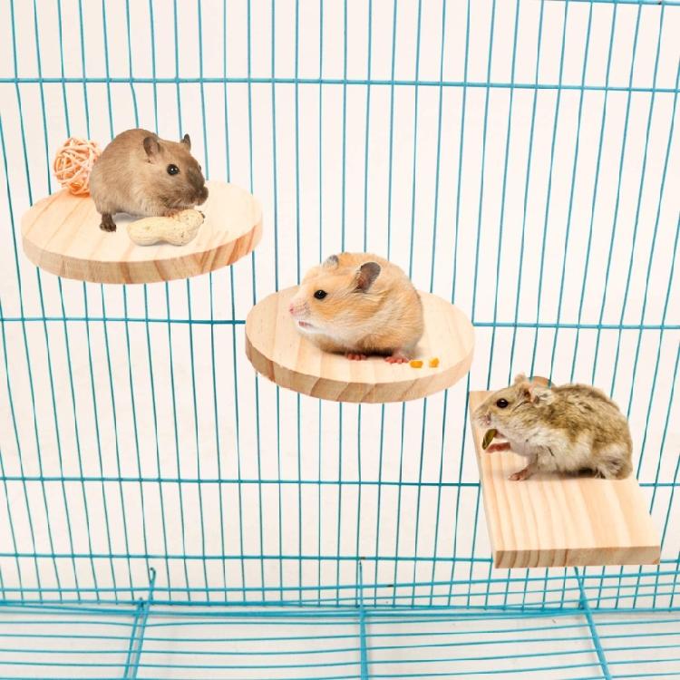 Hamster Platform For Cage Hamster Playground  Hamster Wooden Platform And Stairs