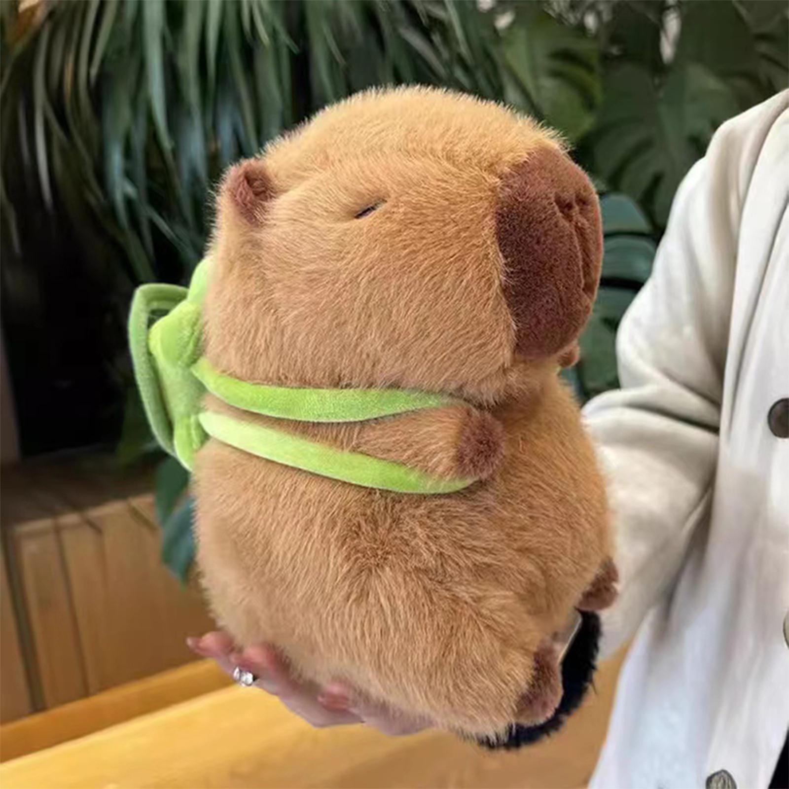 

Шарф Капибара плюшевая кукла милая Капибара аниме пушистая игрушка кавайная плюшевая кукла на день рождения подарок для подруги мягкие чучела животных 3