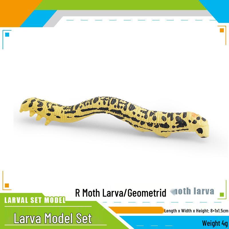 Insect Simulation Larva Model: Children's Cognitive Moth, Jade Belt Swallowtail, Beetle Larva Ornament