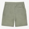 The North Face Men S Ice Cube ShortS Herb Garden nS6nS20c