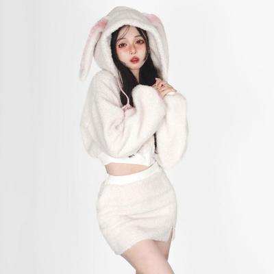 2 Teile/Satz Damen Kapuzenpullover Rock Anzug Dicker Plüsch Hasenohren Dekor Kurzes Oberteil Hohe Taille Slim Fit Minirock Set Cosplay Party Outfit für Homeshopping