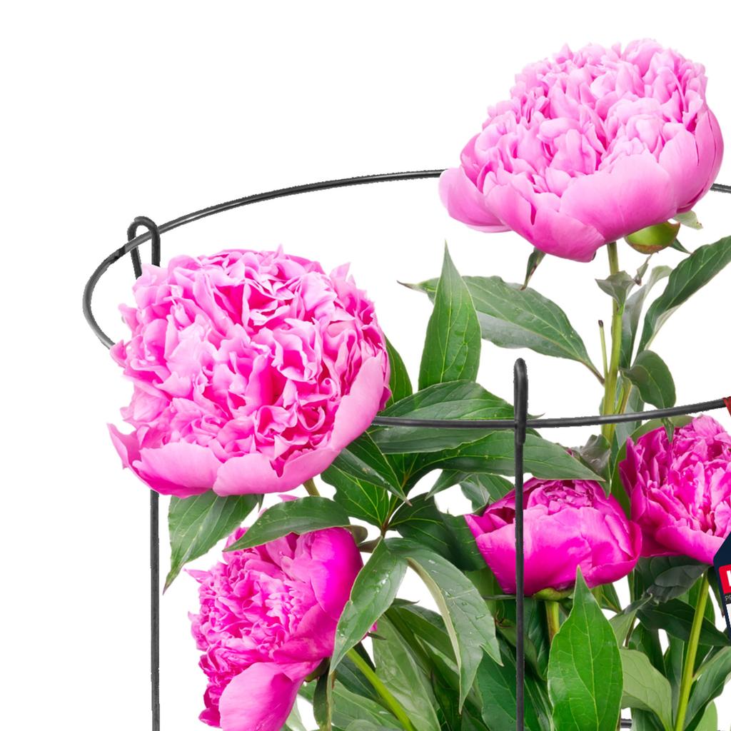 KADAX Flower Plant Support Garden Ring Steel Support