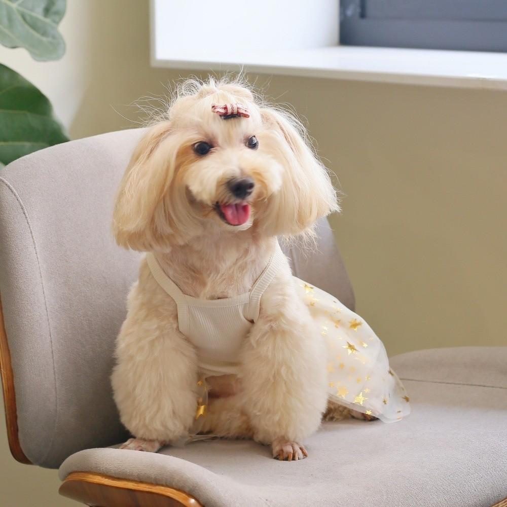 Breathable Puppy Princess Dress Star Mesh Pet Strap Puff Skirt Dog Summer Clothes  Spring Summer
