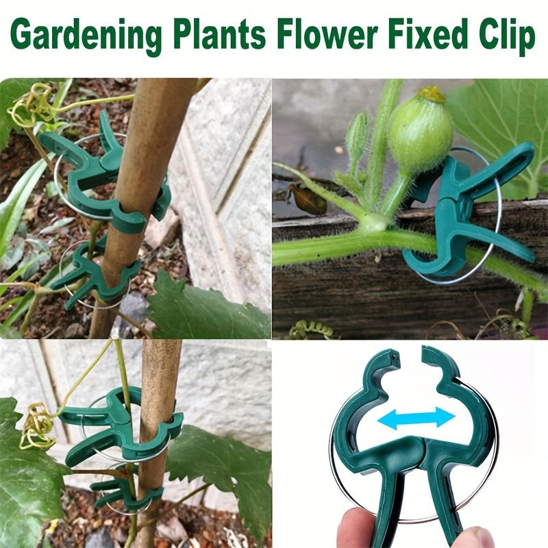50pcs Garden Greening Garden Clip Seedling-assisted Gardening Clip Grafting Flowers and Trees Fixing Clip Plant Fixing Clip Garden Cable Ties