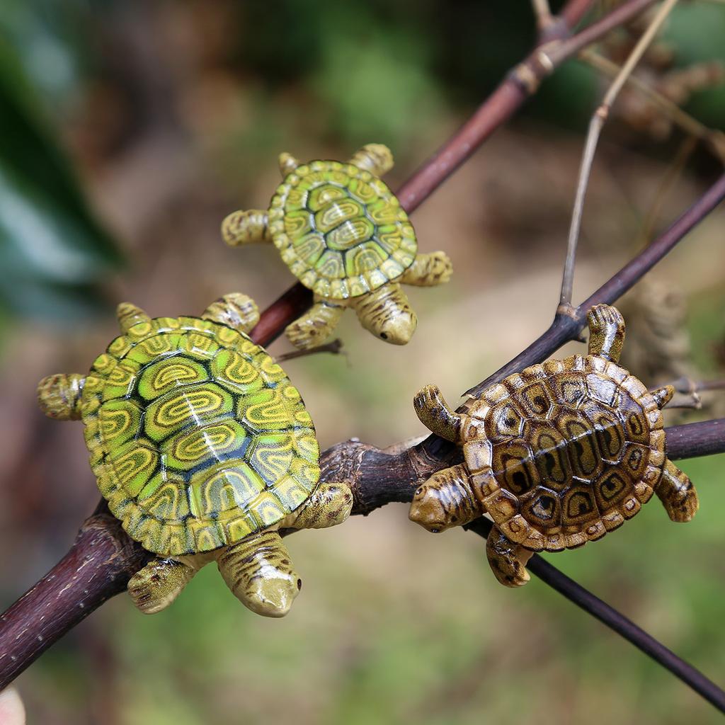 5 Pièces Nouvelle Tortue Miniature Réaliste Simulation Poupée Modèle Créatif Rétro Micro-paysage DIY Succulente Aquascaping Décor Ornements