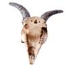 Wall Sculpture Simulation Flower Goat Skull Artwork Props 3D Animal Crafts Decor
