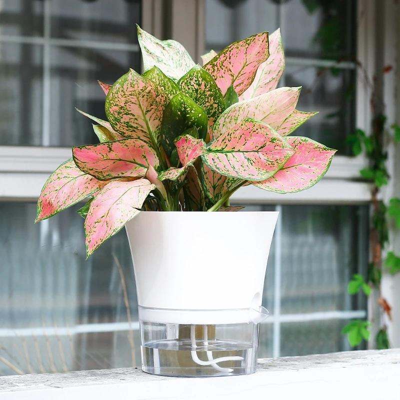 Self Watering Flower Pot Plastic Hydroponics Plants Pot Transparent Double Layer Flowerpot Cotton Rope With Injection Port Set