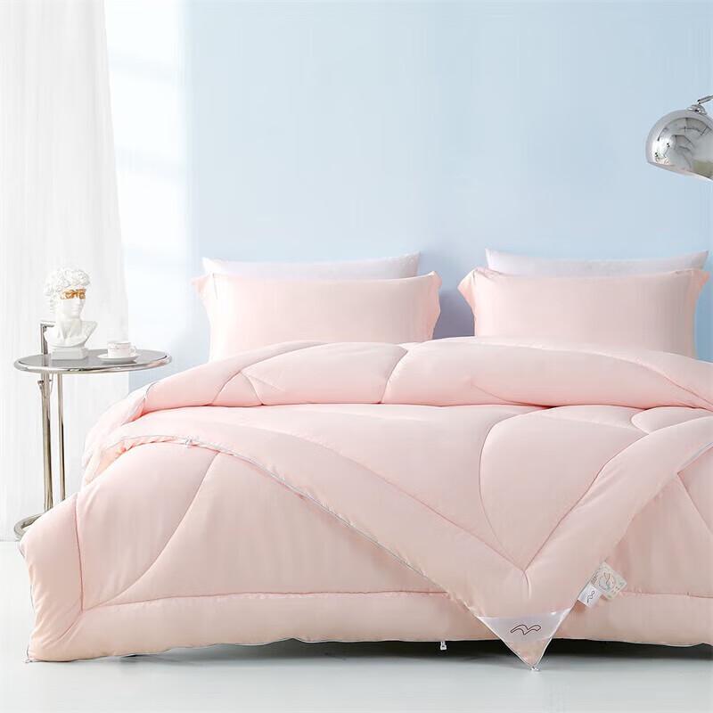 

Mercury Home Textiles 2-in-1 All-Season Duvet