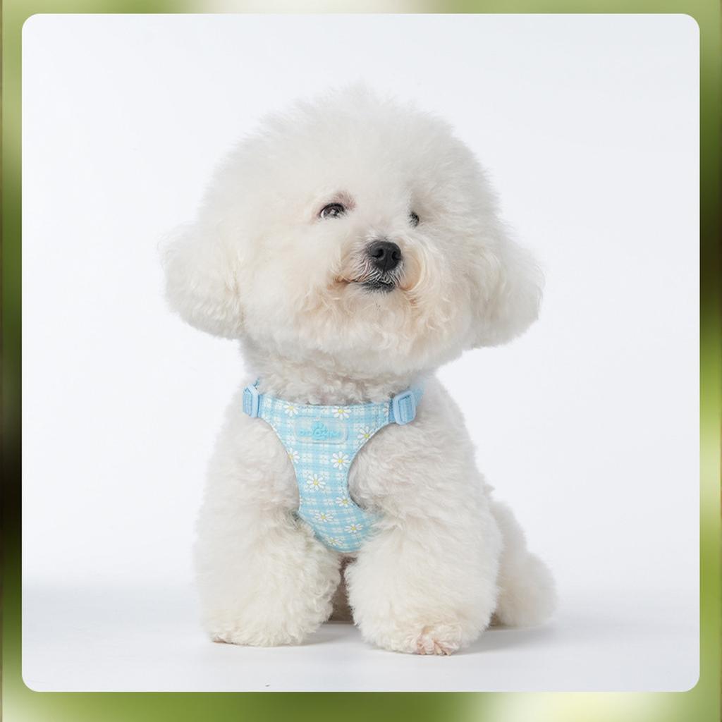 & Co. The Simply No-Pull Dog - Size Small - Vest to Stop Pulling & Walk Easy - Comfortable Leash Training Product w