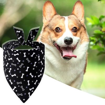 Bekleidung & Schuhe – Hundezubehör