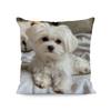 1PC Simple Printed Pillow Cover Cute Cushion Case Creative Throw Cushion  Home Decor