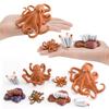 Detaillierte Kunststoff-Oktopus-Lebenszyklus-Figur für interaktives Lernen und Spielen