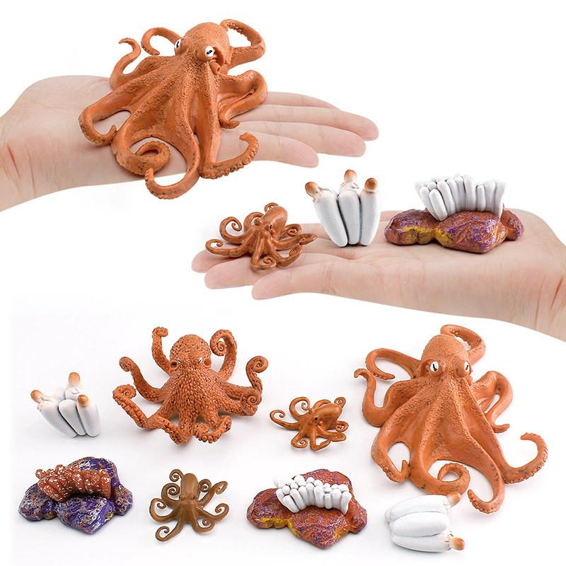 Detaillierte Kunststoff-Oktopus-Lebenszyklus-Figur für interaktives Lernen und Spielen