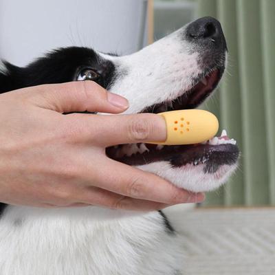 Brosse à Dents Doigt pour Animaux Réutilisable Douce Chiens Chats Soin Buccal Brosse à Dents Portable Animaux Outils de Nettoyage Dentaire Oral