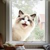 Cute Animal Peeking Window Cling Funny Cat/Dog/Donkey Window Sticker Removable Static Decals for Bedroom