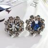 Mini Anti-glare Brooch, Summer Exquisite Brooch for Fixing Clothes, Rhinestone, Seweless Hidden Buckle