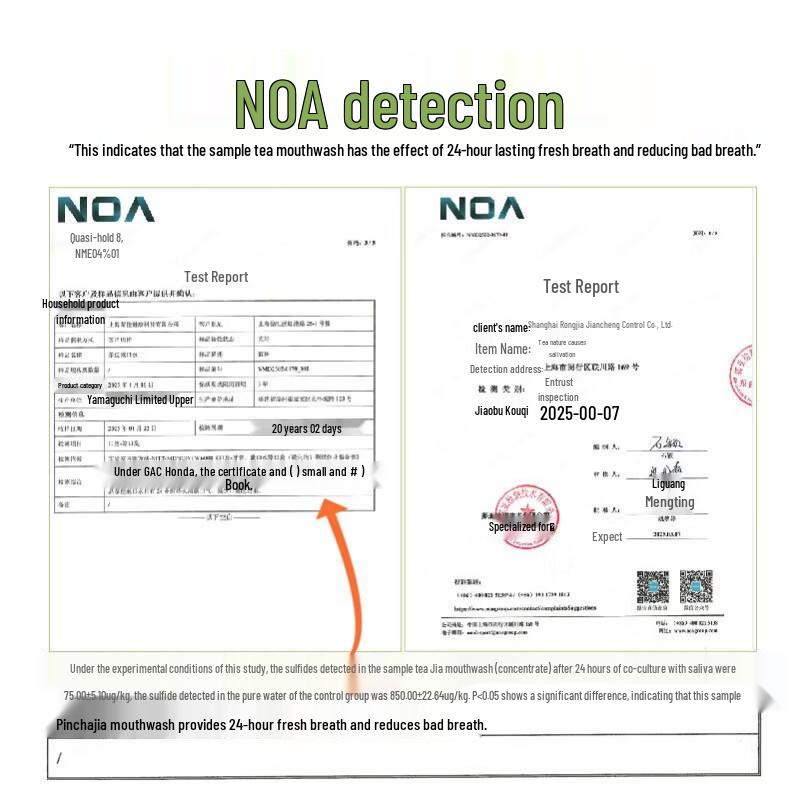 Chajia Frischer Matcha Mundspülung