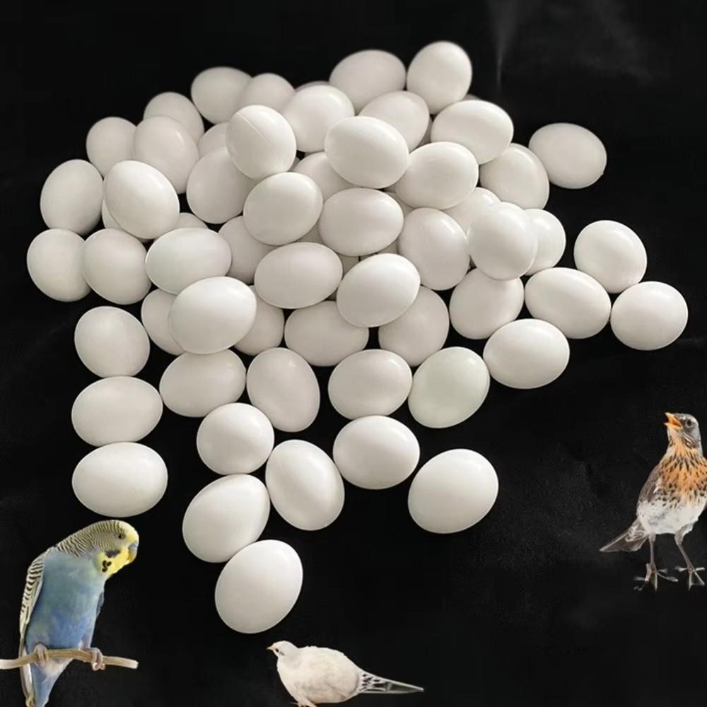 10pcs Realistic Dummy Eggs Multi-size Parrot Eggs Model Simulation Bird Eggs  For Budgie Cockatiel