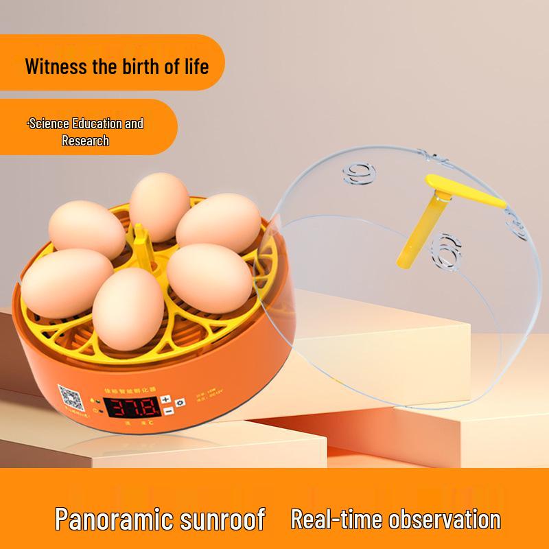 Smart Fully Automatic Small Egg Incubator for Home & Kids