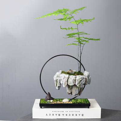 Pure Handmade Succulent Flower Pots, Rich Tree, Bonsai, Rice, Bamboo Indoor, Floating Island, Suspended Iron, Micro Landscape Ba