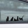 Yangyizhi Car Sticker, Waterproof PVC Self-adhesive Traceless Auto Decal, Five Cats Pattern Sticker for Fuel Tank Caps Windows Luggage Skateboards