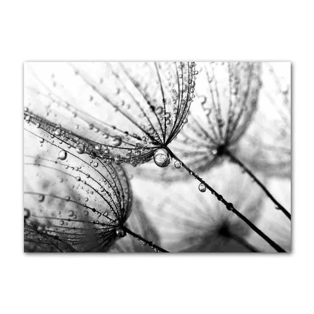 

Черно-белый одуванчик цветущий цветок картины на холсте современный минималистский цветок растение настенное искусство плакат принты для комнаты домашний декор 30x40cm No Framed