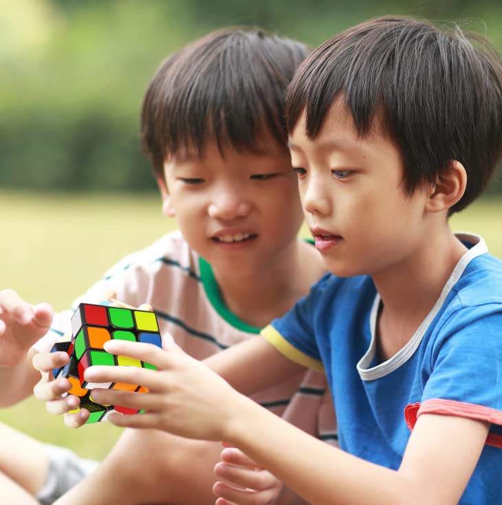 DaYan 3x3x3 Magic Cube with Magic Cube for Smooth Color 3D Puzzle DaYan ZhanChi Pro M Built-in Magnets, Competitions, Rotation, World-Class Scheme,