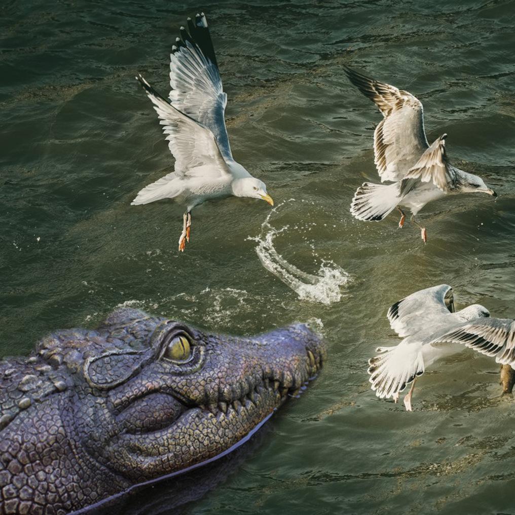 Floating Alligator Head, Pool Accessories Float Fake Alligator Head For Swimming Pool Koi Pools, Resin Ornaments Decoration For Garden Courtyard