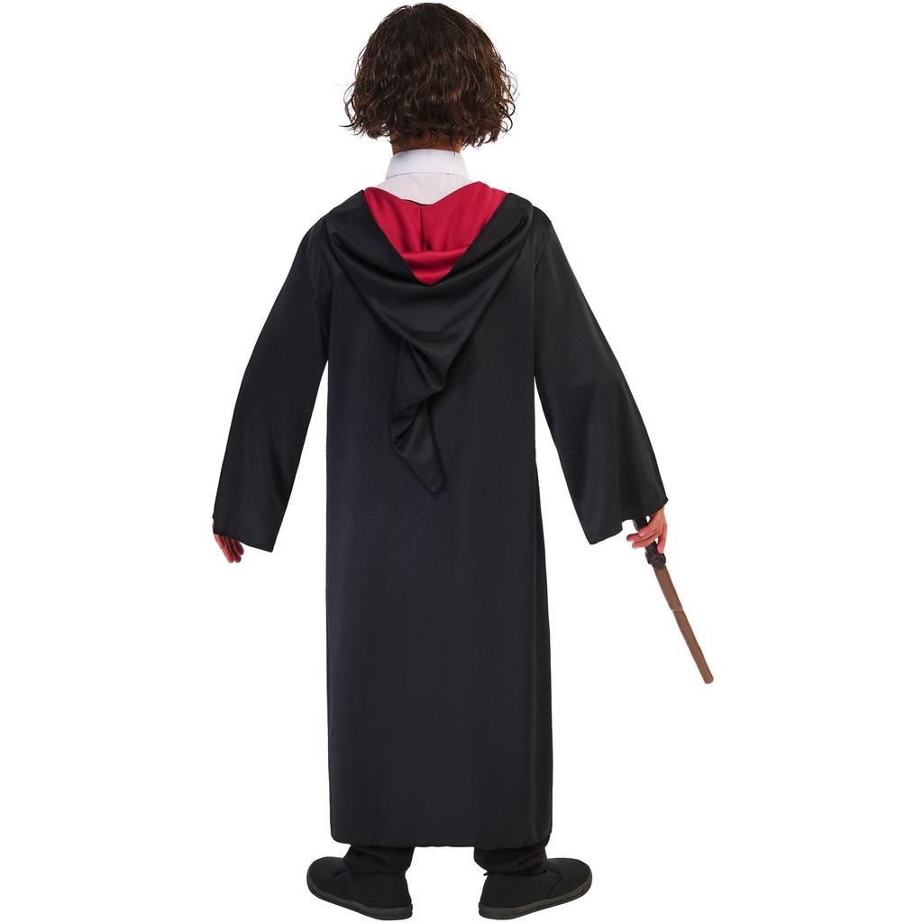 Harry Potter Costume Accessory