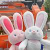 Pulling Rabbit Keyring Plush Rabbit Keychain Stuffed Animal Toys Key Chain Pulling Rabbit Plush Toy