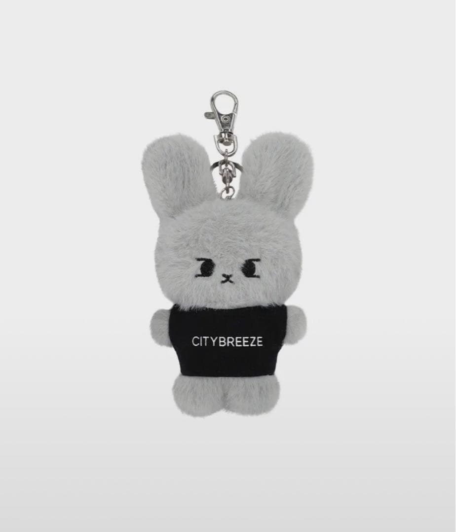 [USED] CITYBREEZE NCT Ilchiru Doyoung Key Ring