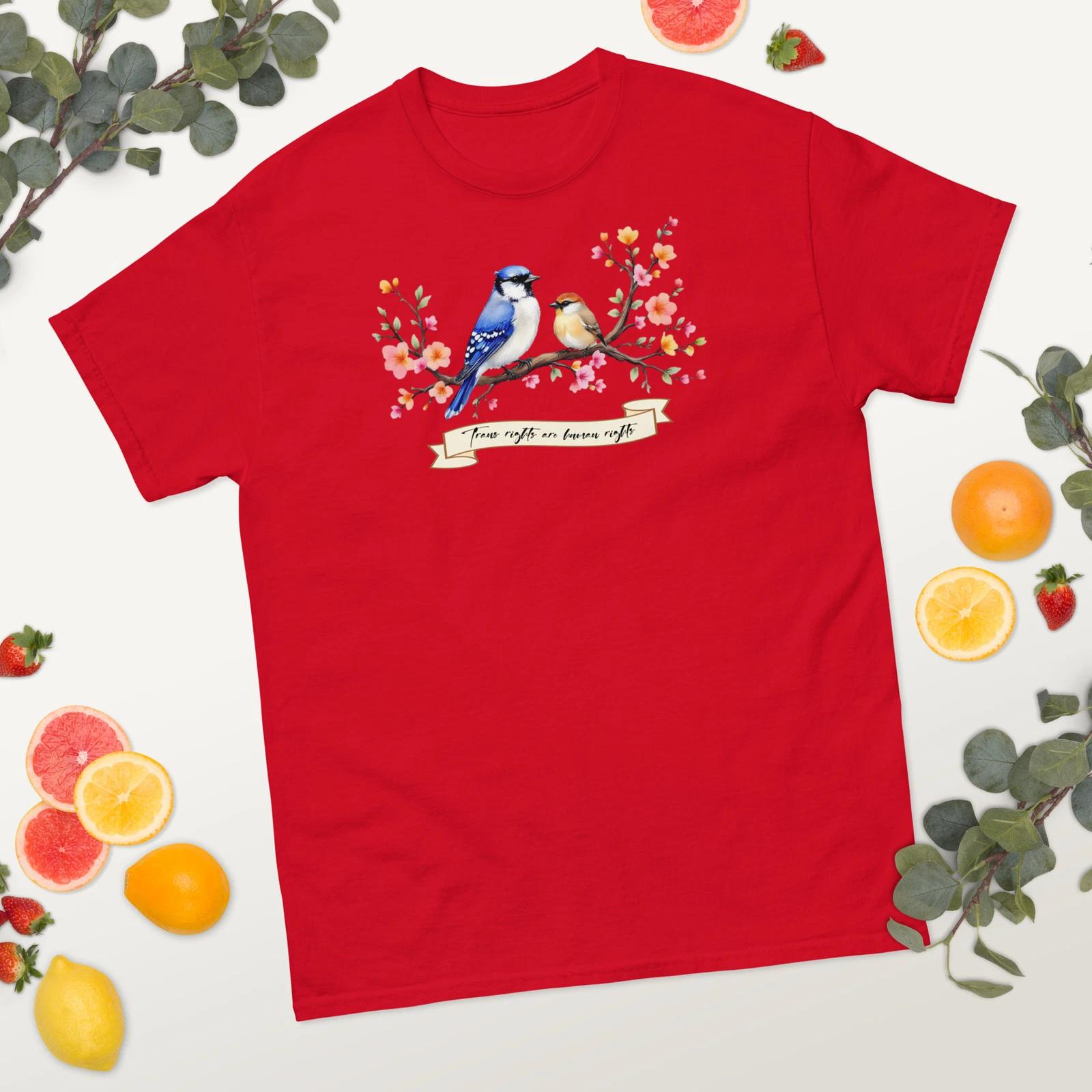 Trans Rights are Human Rights Subtle Unisex Classic Tee M