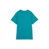 Nike Acg Short Sleeve Tee BQ7343-379