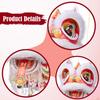 Lion Dance Lantern DIY Kit for Family Activity Props Lunar Year Festival