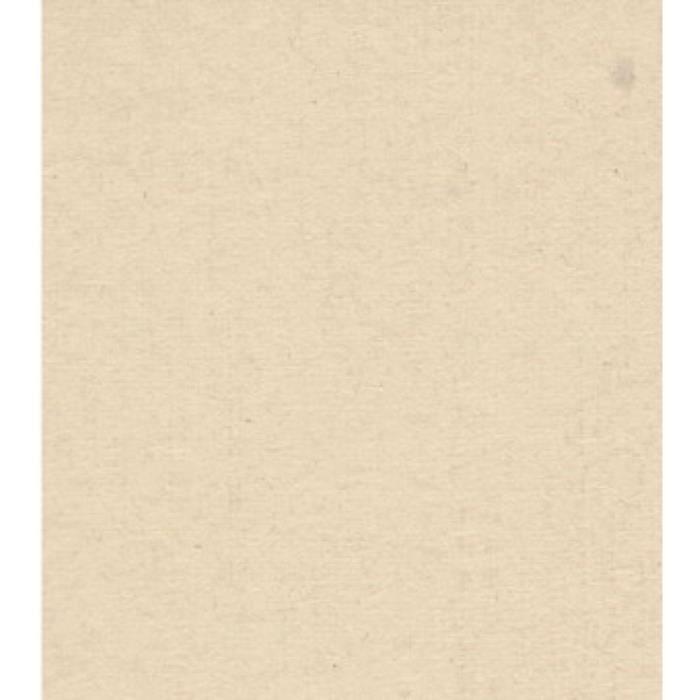 Feuilles de papier - PAPER TREE - 50*70 - Blanc - Cajou - 100g - Lot de 10 feuilles