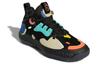 Harden Vol. 5 Adidas Futurenatural 'Black' FZ1070