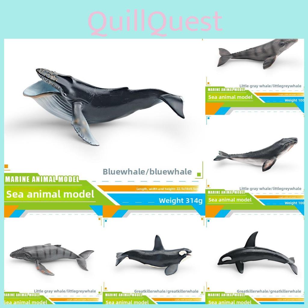 Kinder Meeresbewohner PVC Modellset mit realistischen Wal- und Delfinfiguren für pädagogisches Spiel