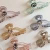 Women's Daily Hair Transparent Big Ribbon Clip
