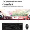 Leishe LS-KM201 Wired Office Keyboard and Mouse Combo