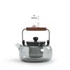 Jinglan Glass Tea Kettle and Electric Stove Set