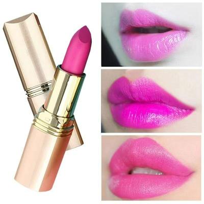 Lipstick Waterproof Long Lasting Red Lipsticks Resistant Rose Lip Stick Velvet Lipstick Cosmetic Girl Women Makeup